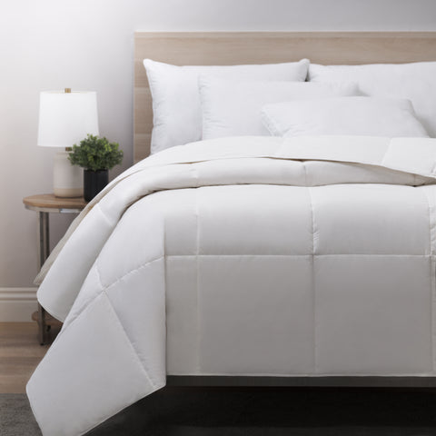 All Season Down Comforter- RDS Certified