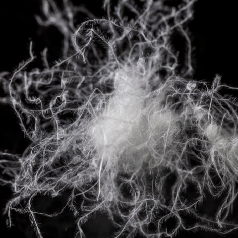 Black background with an image of Premium Washed Down by ALLIED. The fluff is like little white strings all bunched together, with what looks like mini feathers attached to them. Almost looks like branches with leaves on them, just white, thinner and smaller.